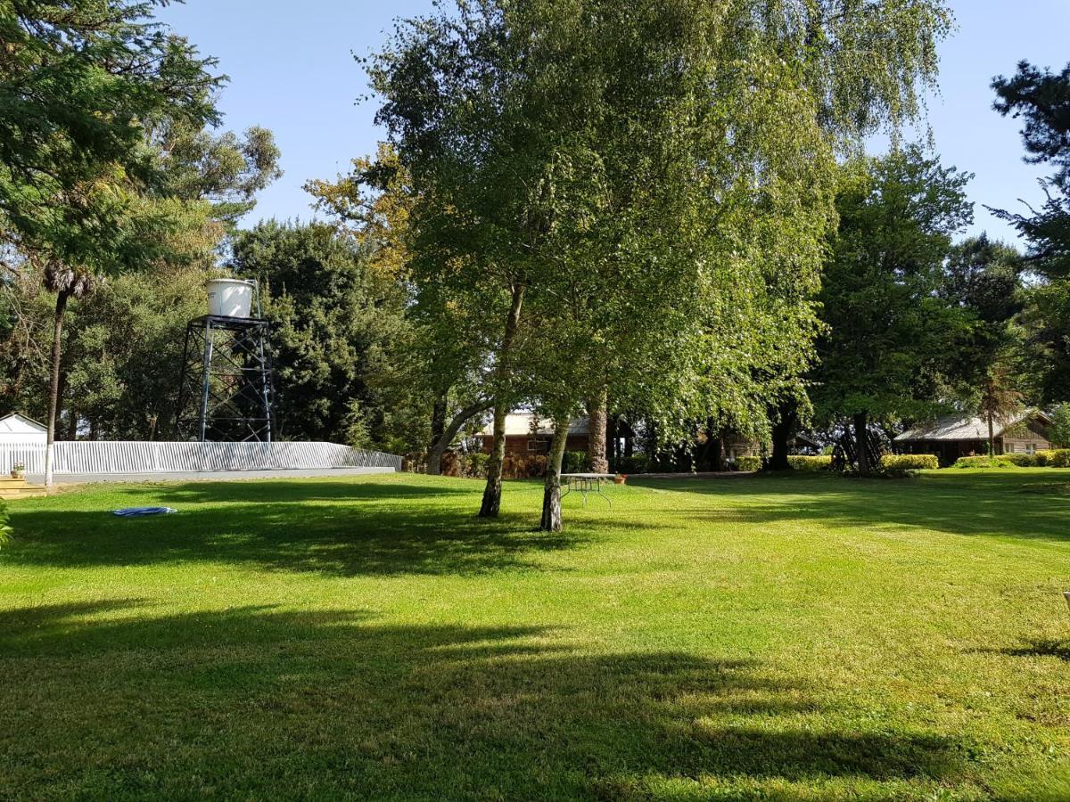 Lodge Mirador Chillán Екстериор снимка