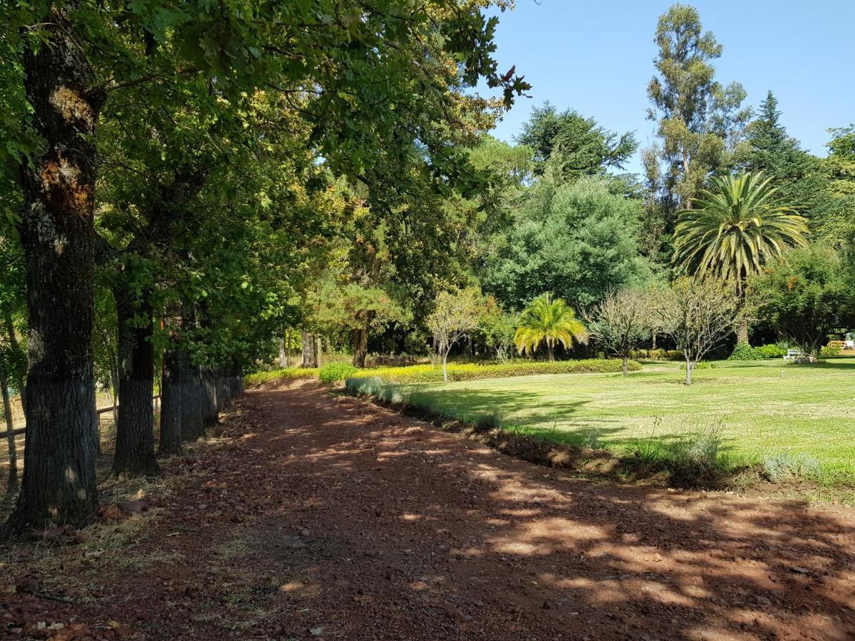Lodge Mirador Chillán Екстериор снимка