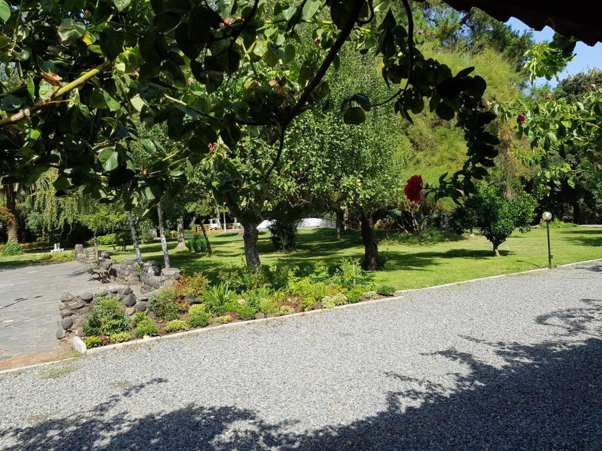 Lodge Mirador Chillán Екстериор снимка